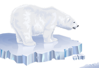 a polar bear 